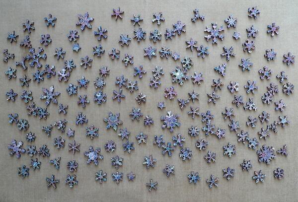 Many Different Snowflake Whimsies, Patterned Back