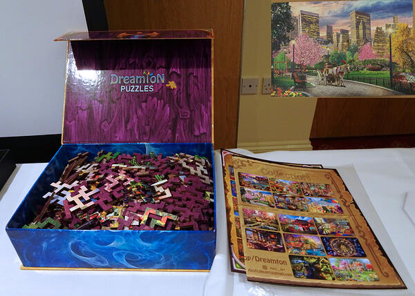 Dreamton 500pc Central Park New York City, at BCD House Party Feb 2022