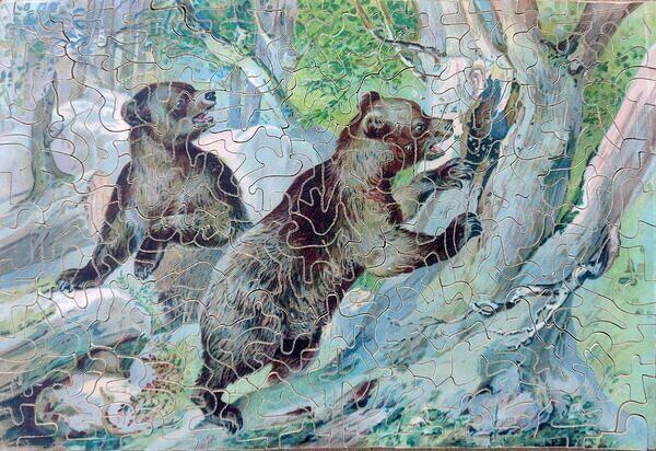 IMG 20241205 120556808~2