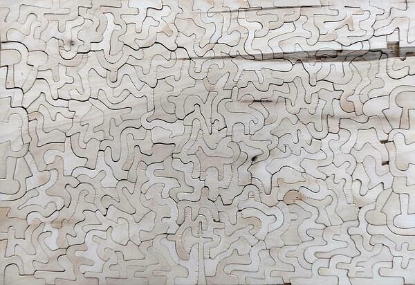 IMG 20241205 120938067~2