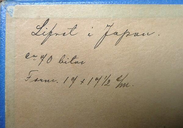 LENOVO-PC - P1030528