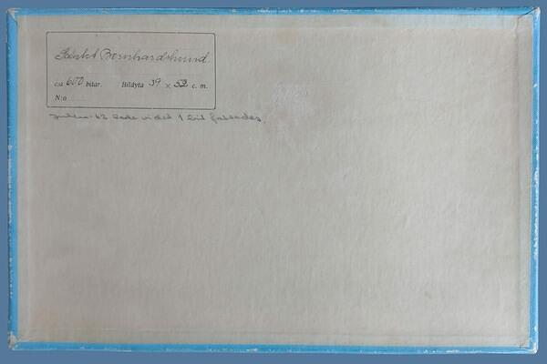 IMG 20250307 142951753BB