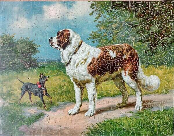 IMG 20250313 102543165 HDR~2