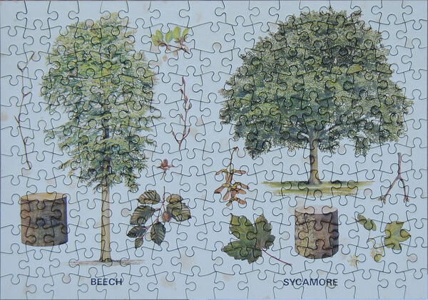 Puzzle