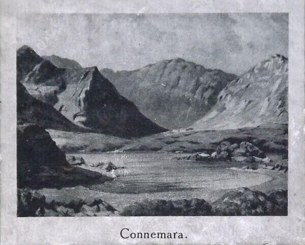 Chad Valley - Connemara detail