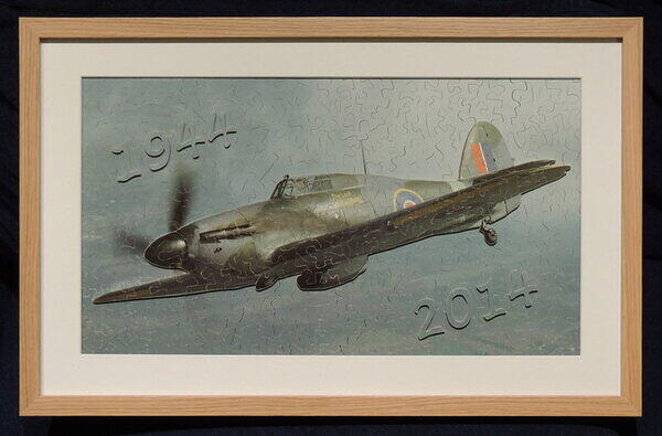 Last of the Many (Framed).JPG