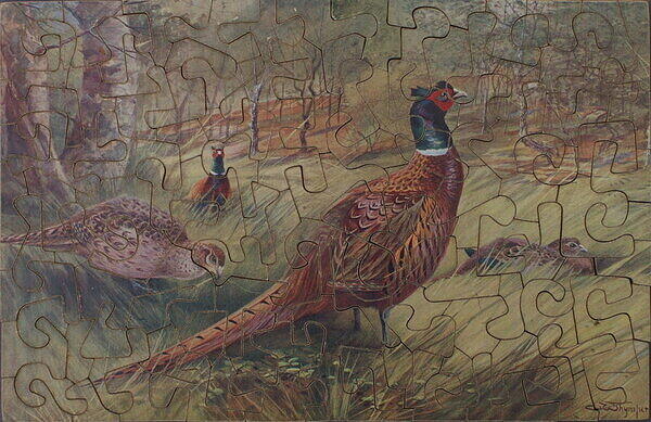 PHEASANTS (A).jpg