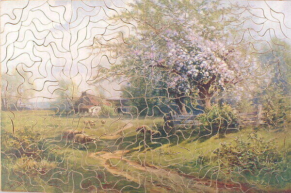 FRUIT BLOSSOM 001.jpg