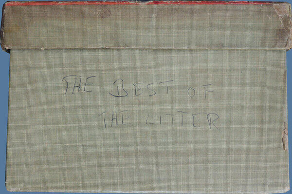 Best of the Litter (Box 2).JPG