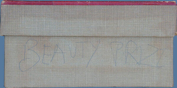 Beauty Prize (Box 2).JPG