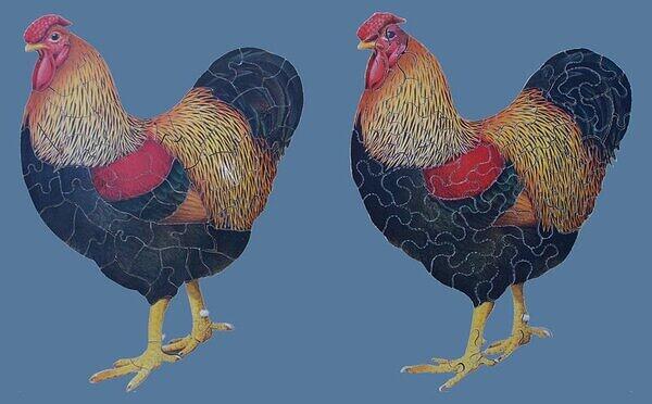 A Pair of Cockerels  2.JPG