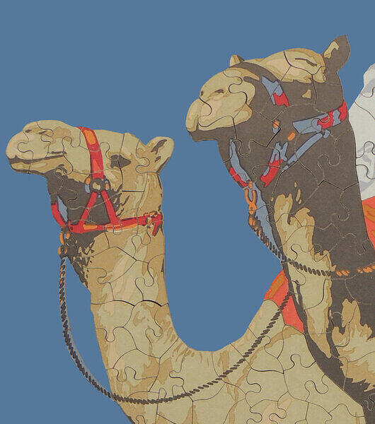 Ships of the Desert (Detail 2).JPG