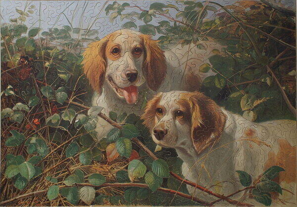 SPANIELS AT WORK.jpg