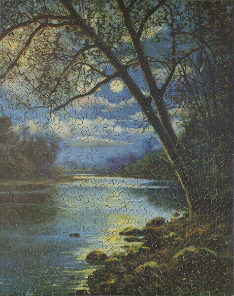 SENTINEL OF THE NIGHT.jpg