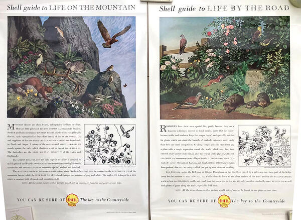 Pair Shell 1958 Posters Mountain & Life By The Road John Leigh Pemberton