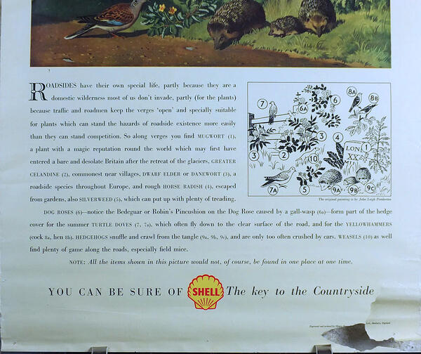 Shell Guide Life By the Road John Leigh Pemberton 8