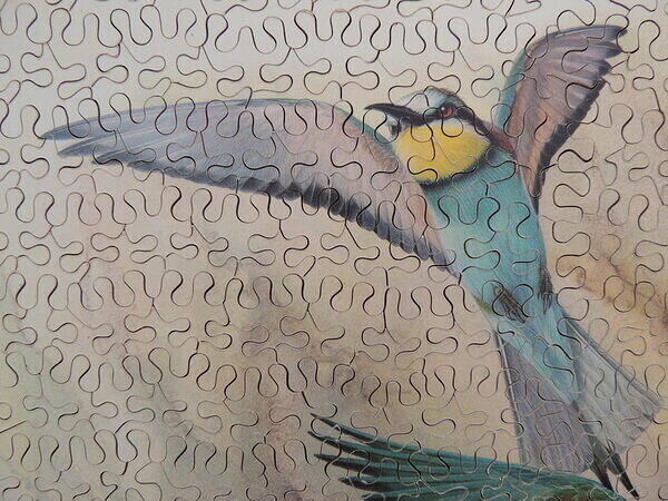 guepier (Detail 1).JPG