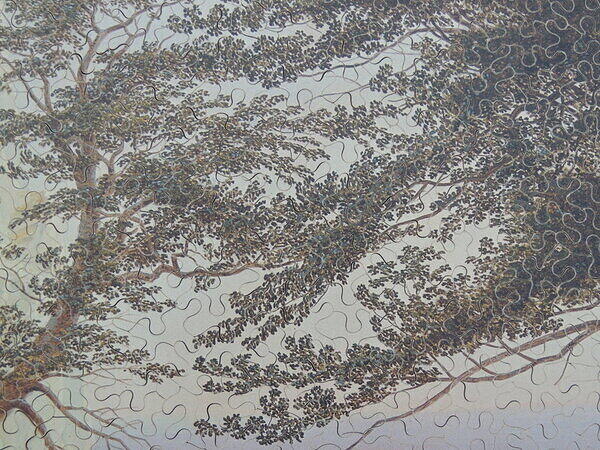 Kreidefelsen (Detail 3).JPG