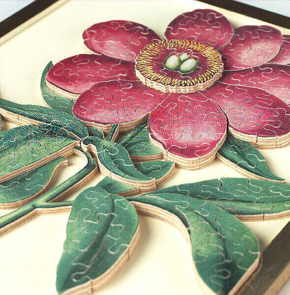 Pink Peony detail.jpg