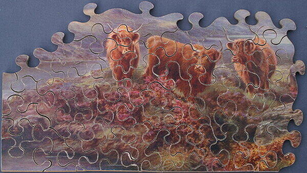 HIGHLAND CATTLE & FISHING ON THE LOCH (DETAIL 2).jpg