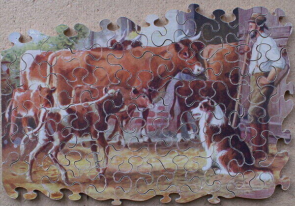 CHANGING PICTURE (DETAIL 1).jpg