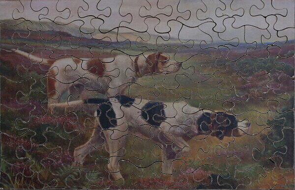 POINTERS (DOGS) .jpg