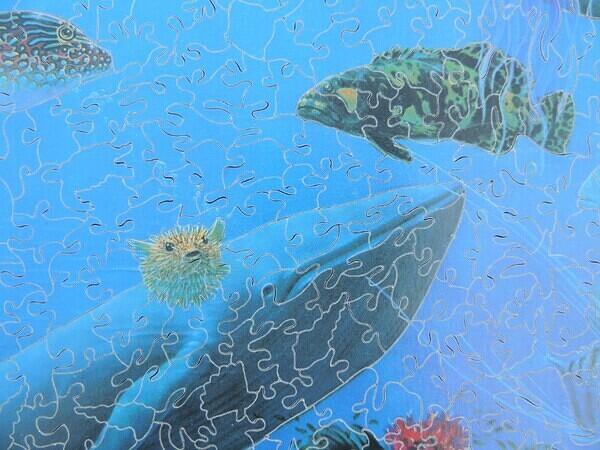 Detail 1 (Custom)