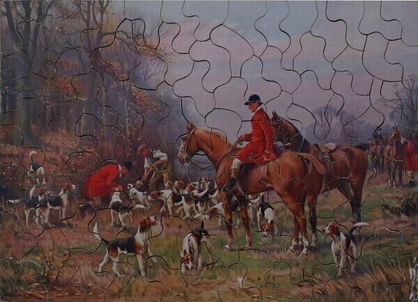 HIGHLAND CATTLE + GONE TO EARTH 001.jpg