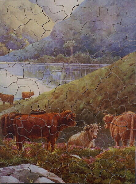 HIGHLAND CATTLE + GONE TO EARTH 002.jpg