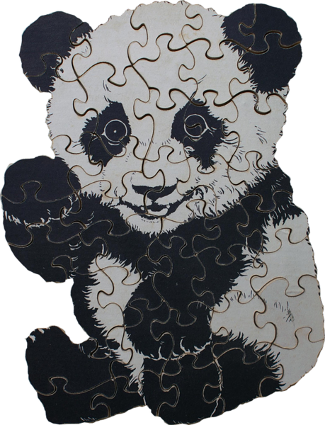 PANDA .png