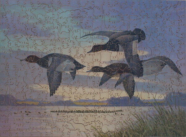 HEADING SOUTH (WILD DUCK).jpg