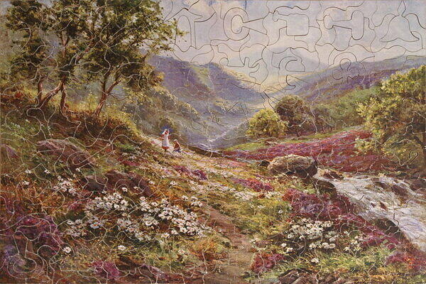 THE LAND OF HEATHER .jpg