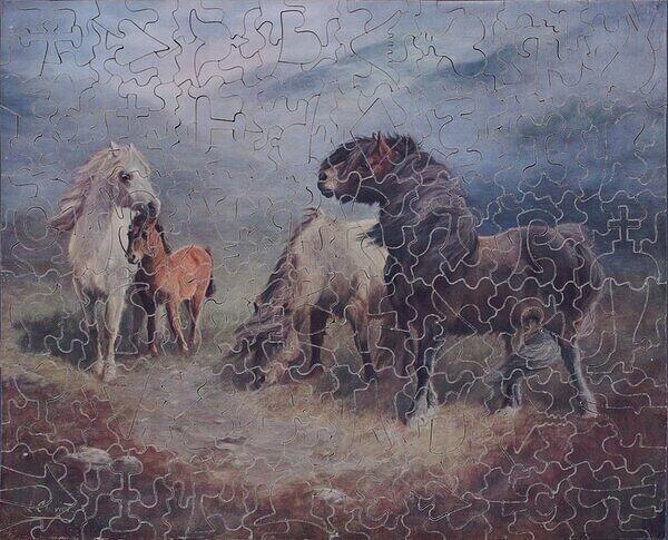 AT HOME IN THE SHETLANDS 2.JPG