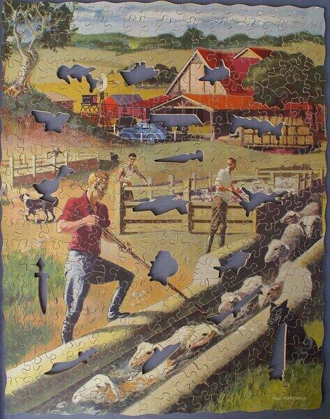 DIPPING SHEEP 006.jpg