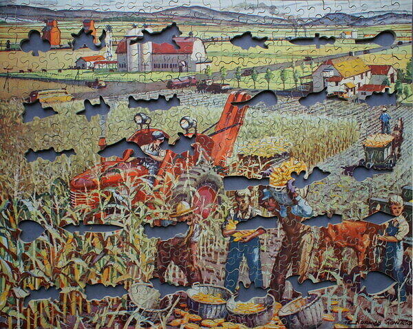 HARVESTING CORN 004.jpg