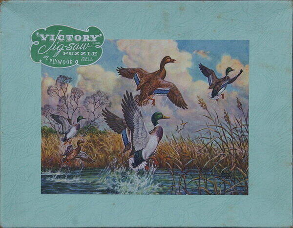 UNTITLED-DUCKS (BOX).jpg