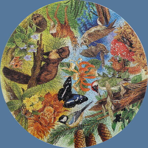 5971 WOODLAND WILDLIFE .jpg