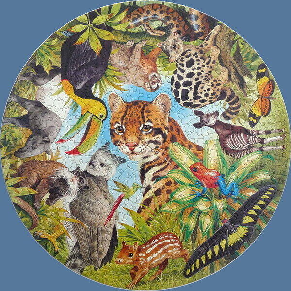 5988 RAIN FOREST.jpg