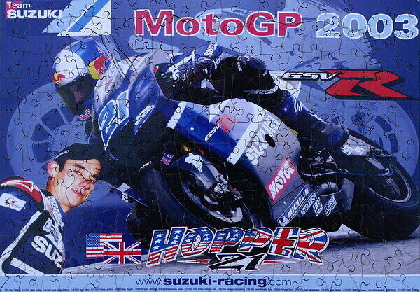 Team Suzuki 2003.JPG