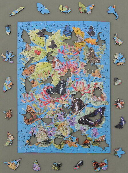 Woodland Butterflies (Separate Figurals).JPG