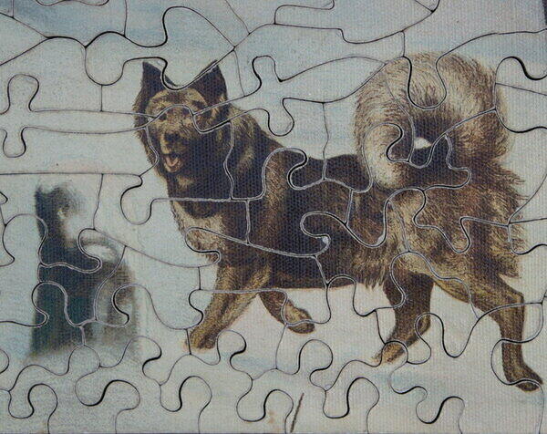 A SPLENDID CAPTURE 003.jpg