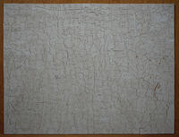 Rear Showing Line-Cutting