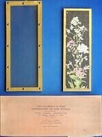 Box + Puzzle + Frame