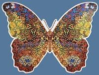 Shaped Butterfly