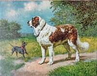 IMG 20250313 102543165 HDR~2