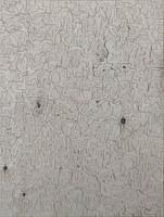 IMG 20230803 164021140~2 (003)