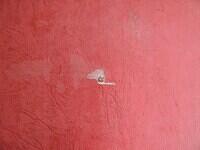 Box-Base label (Custom)