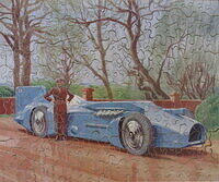 BLUEBIRD 003.jpg