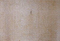 OFF COWES REVERSED.JPG