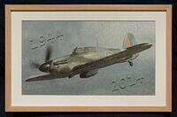 Last of the Many (Framed).JPG